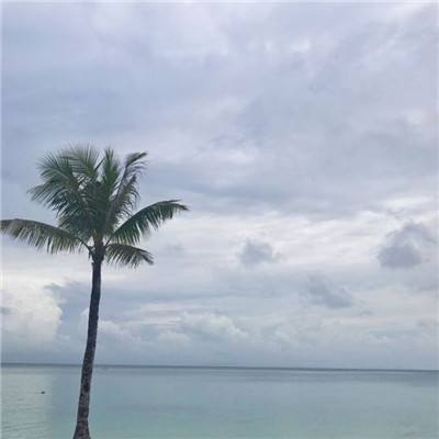 金沙app下载官网