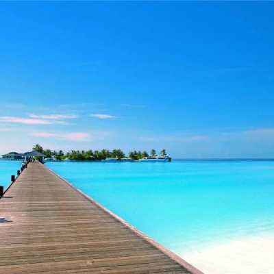 天博体育官网入口手机app下载截图