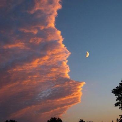 乐宝体育官网登录入口手机app下载