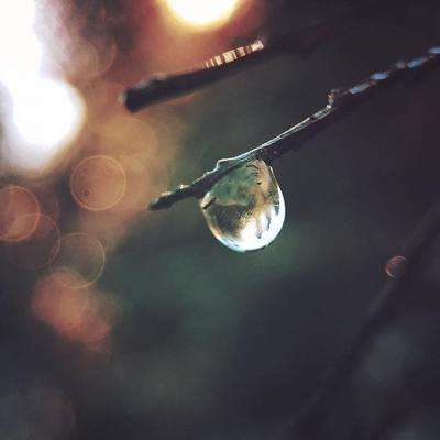 大发黄金版app下载手机app下载