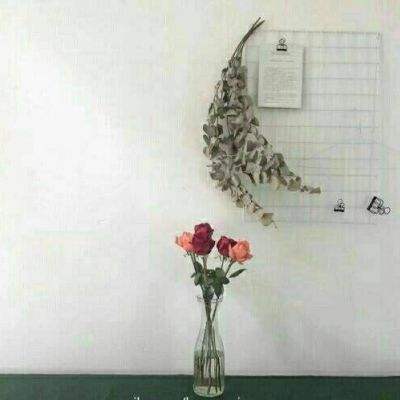 皇冠体育安卓app