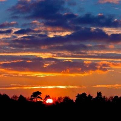 开云电竞app下载